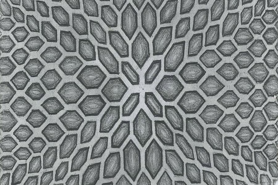 The Opalescent Piece by Austin M. Collings — Pen & ink on paper, 2024